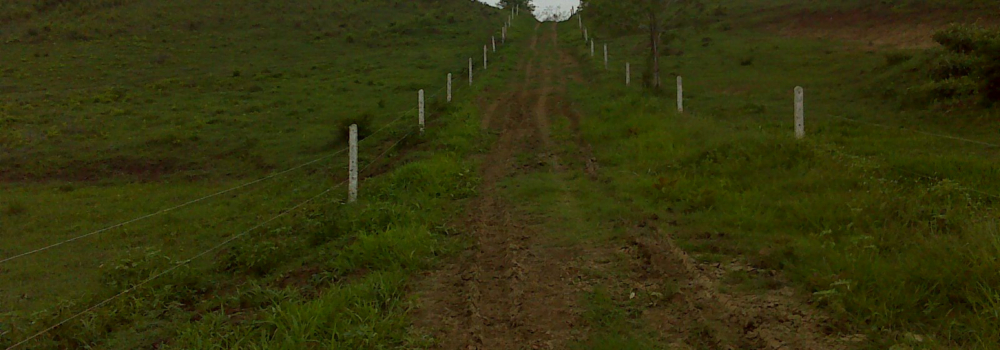 Parque Industrial Cartagena Verde