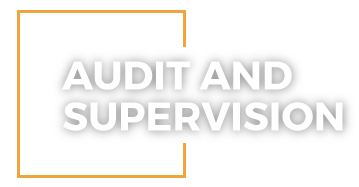 Audit and supervision