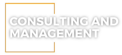 Consulting and Management